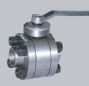 forged trunnion ball  valve